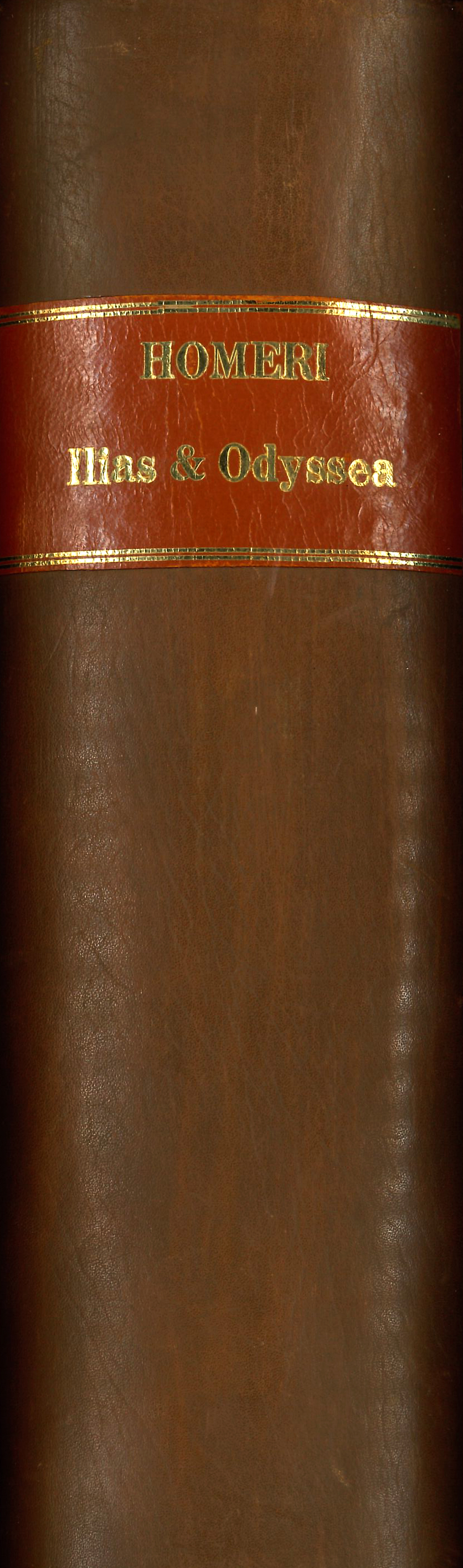 Homer's Iliad in Greek and Latin