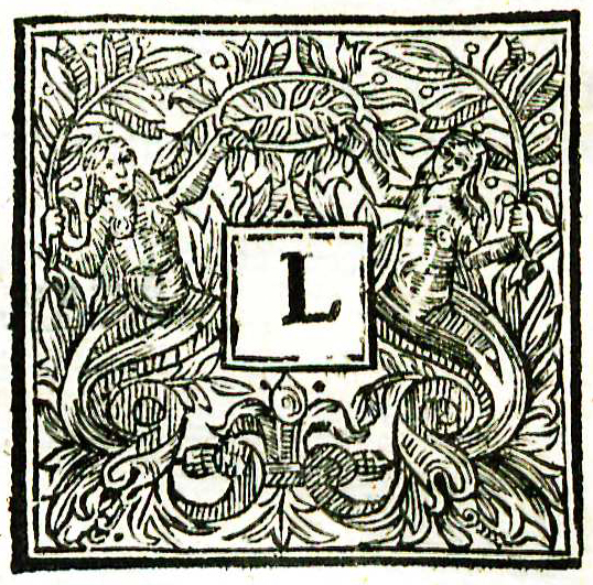 Initial capital, first page of text, from Edmund Wingate's Maximes of Reason.