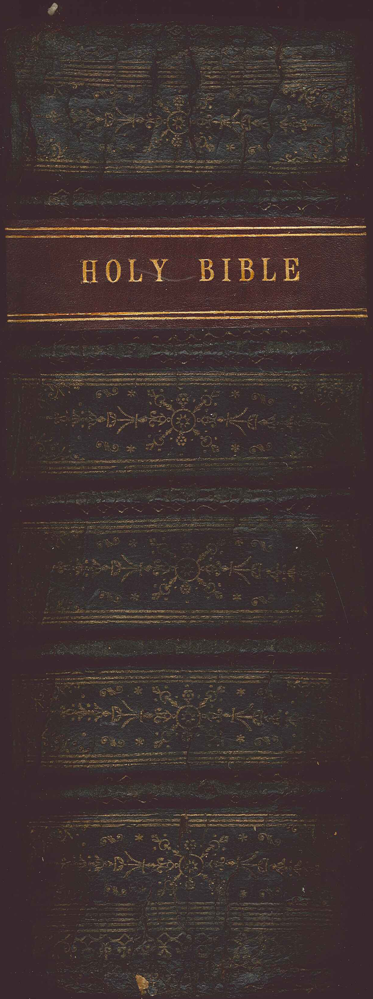 The Holy Bible