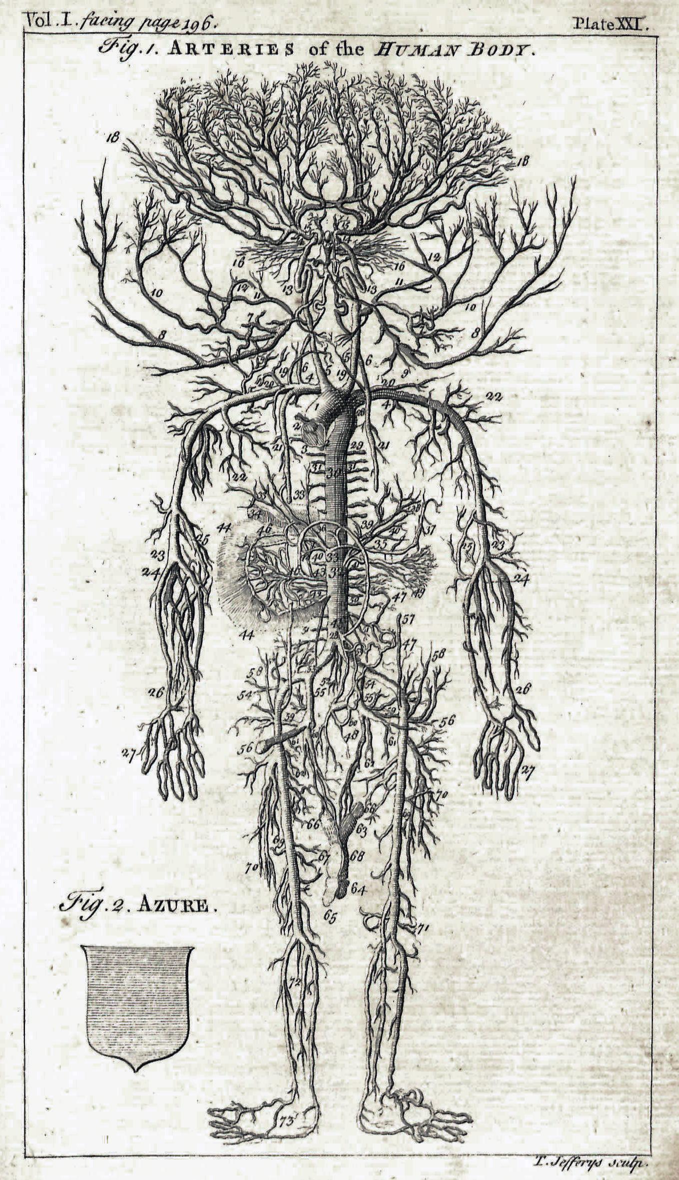 Figure 1, Arteries of the Human Body, volume one, facing page 196.