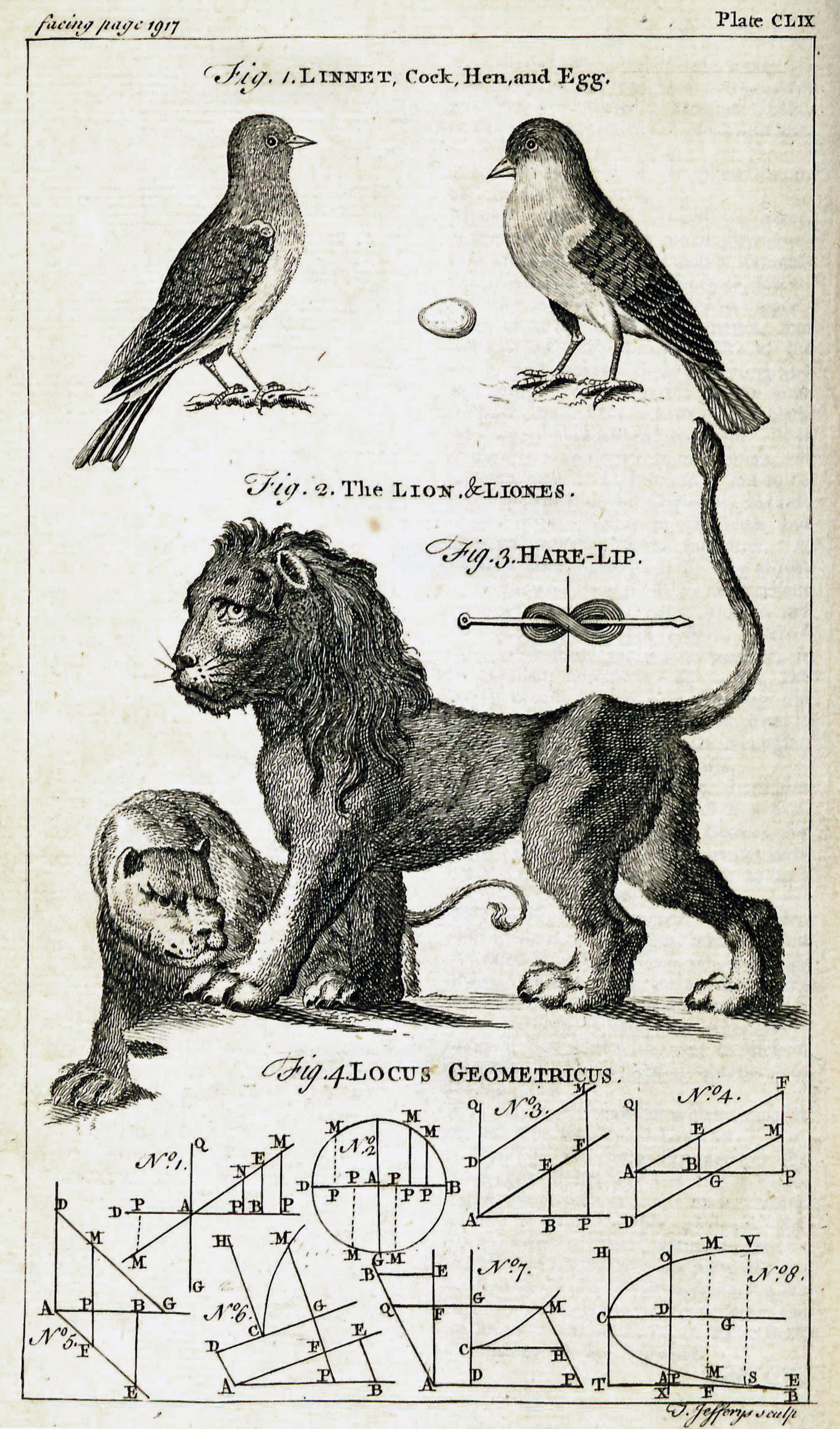 Figures 1 through 4, volume three, facing page 1917.