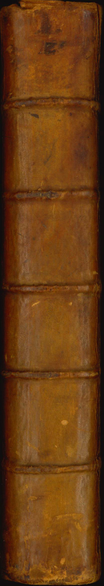 Shelf from the re-creation of George Wythe's library.