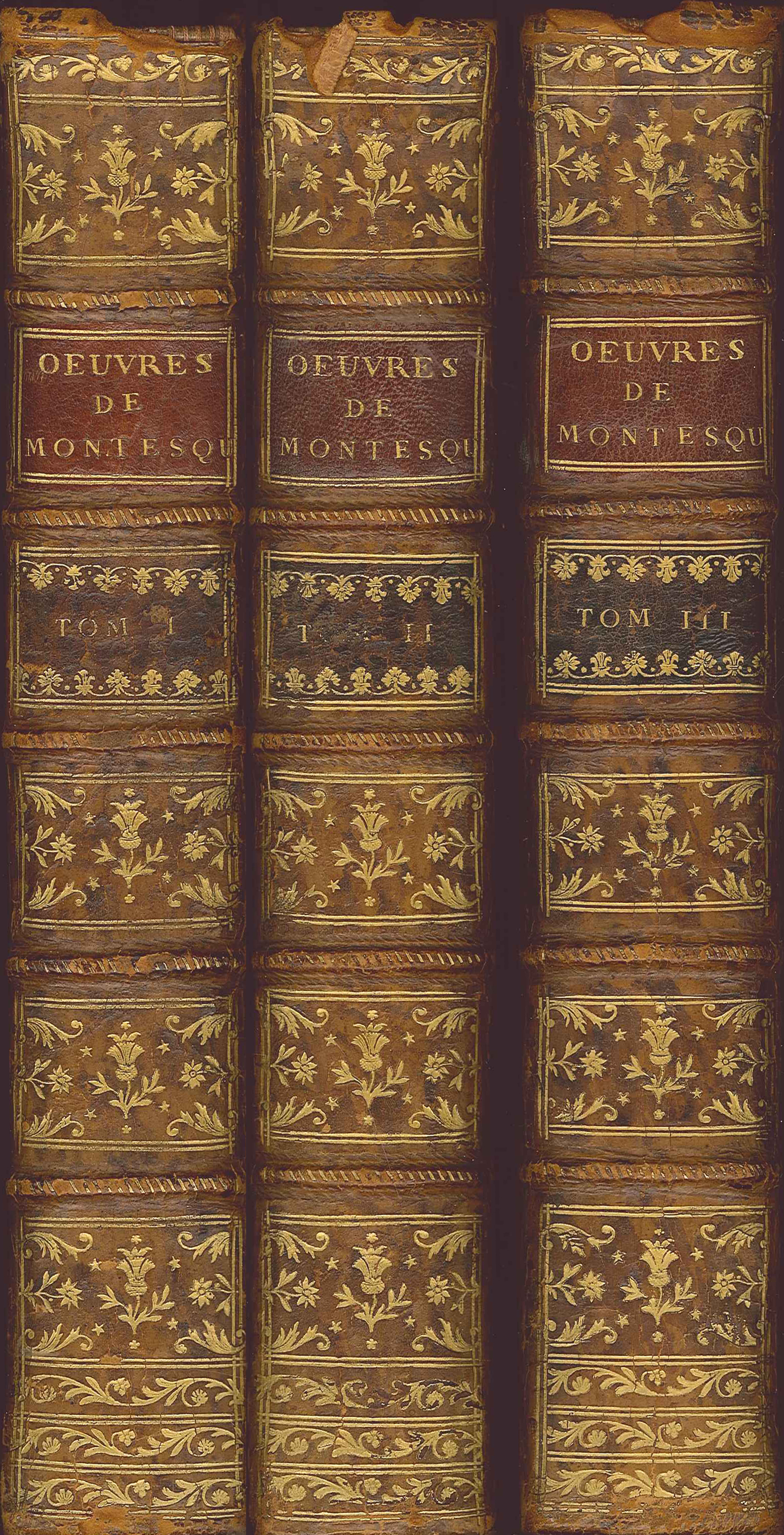 MontesquieuOeuvres1767Spines.jpg