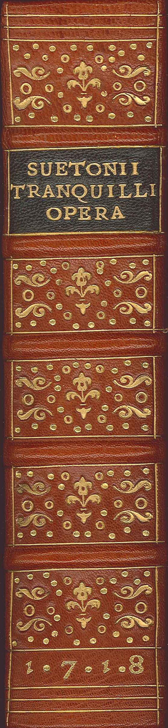 The Works of Suetonius