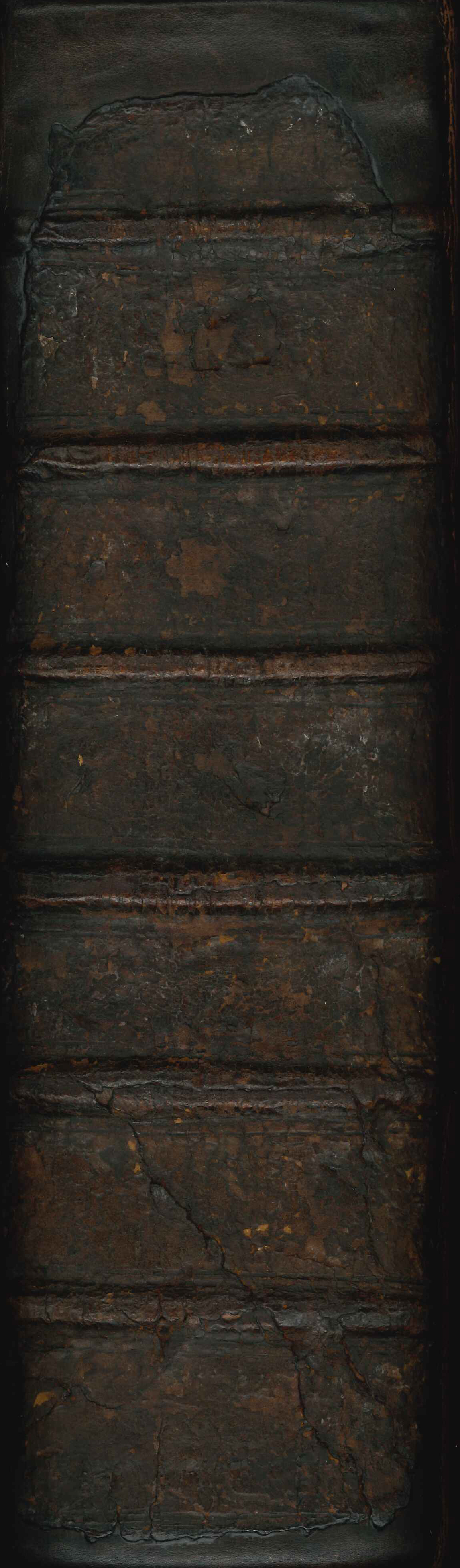 Cooper's Thesaurus Linguae Romanae & Britannicae