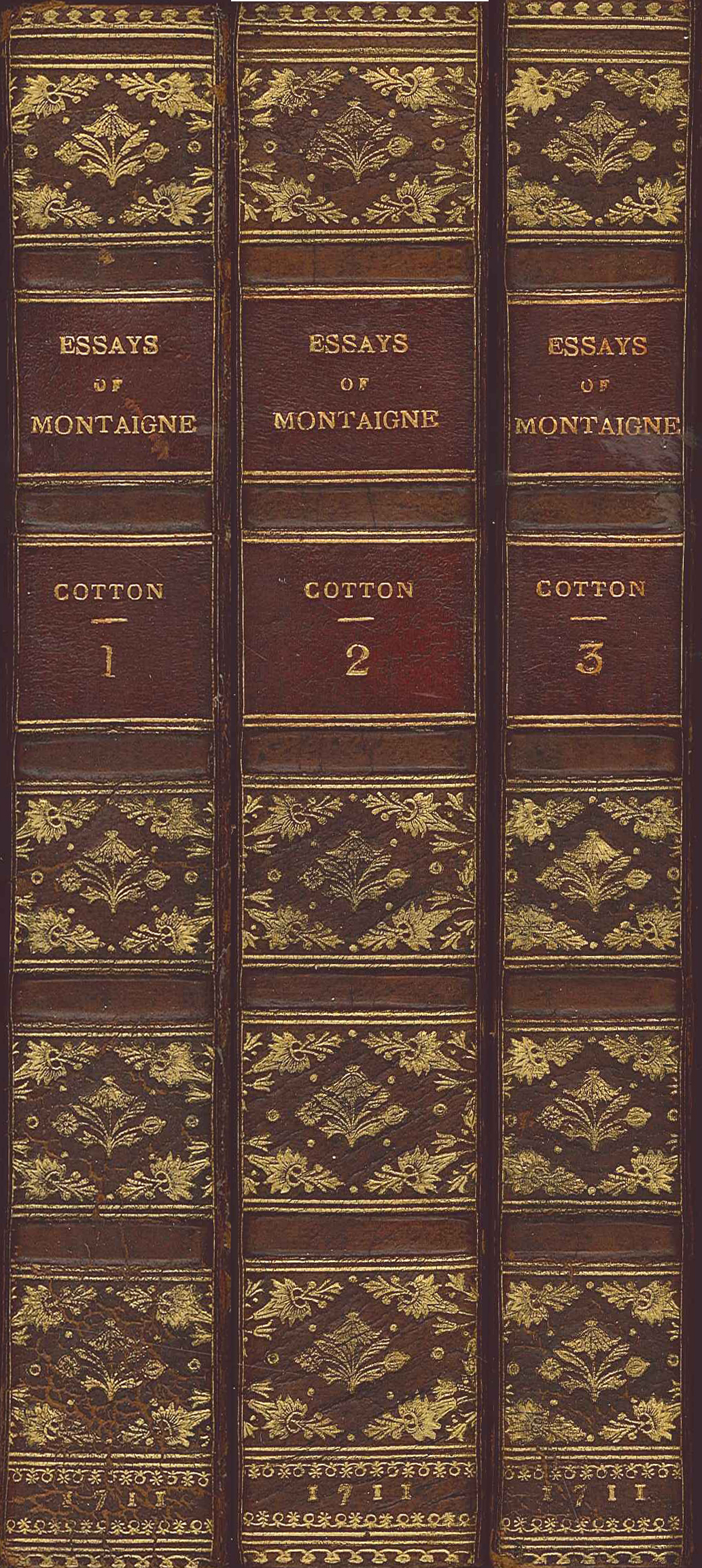 Montaigne's Essays