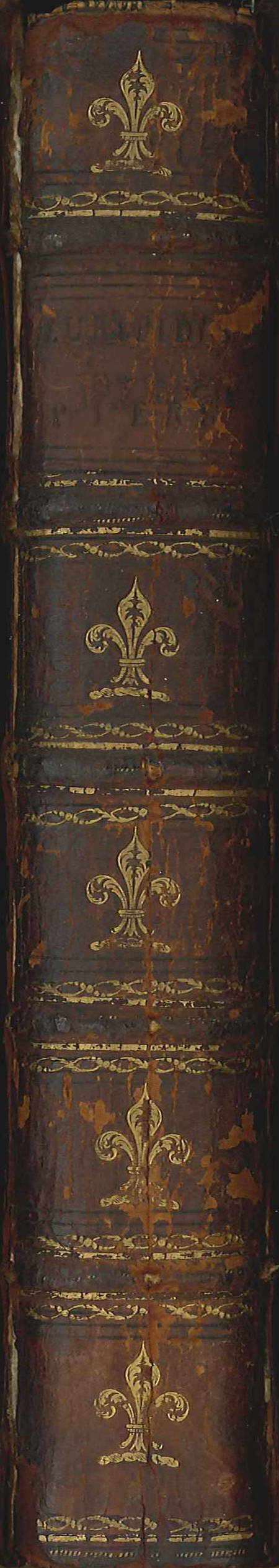 Euripides's Medea and The Phoenician Women
