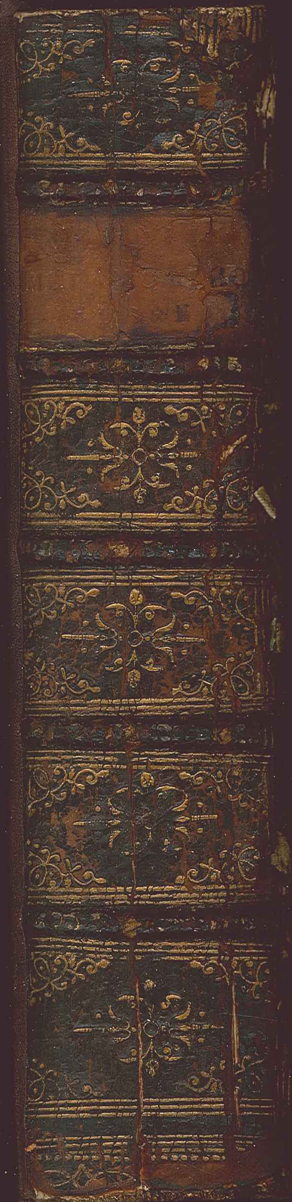 Ovid's Metamorphosis