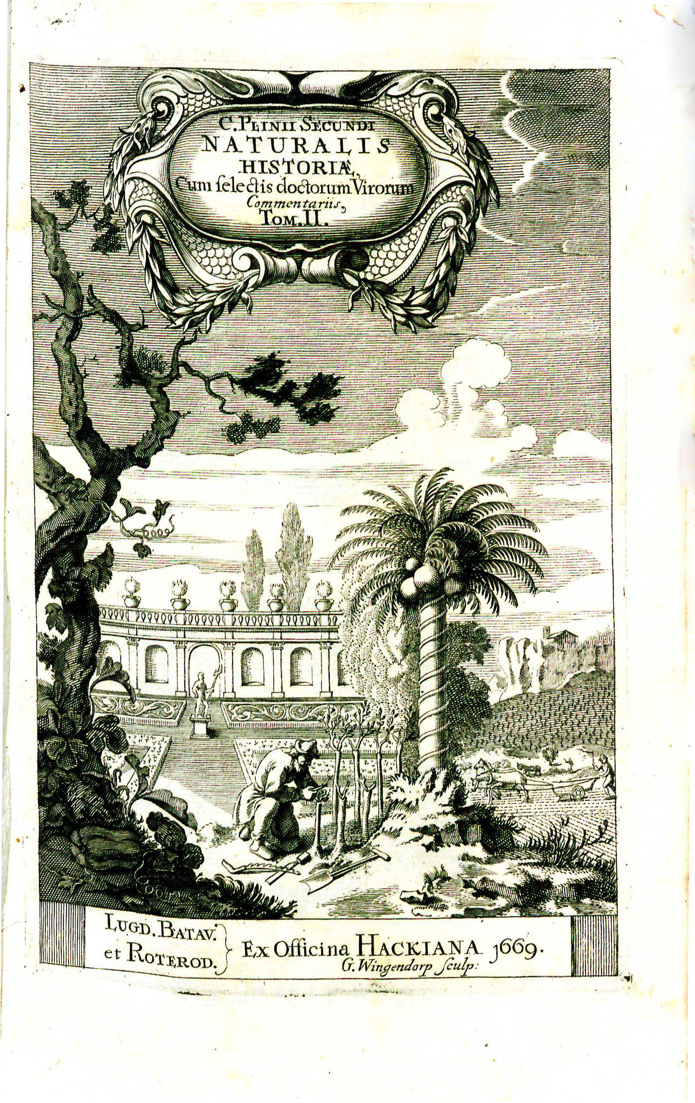Half-title, volume two