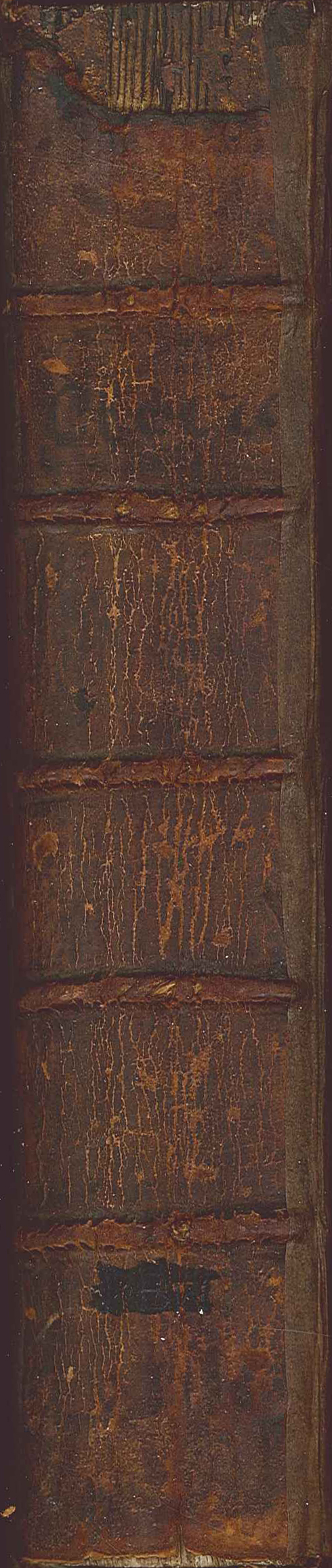 Select Orations of Cicero