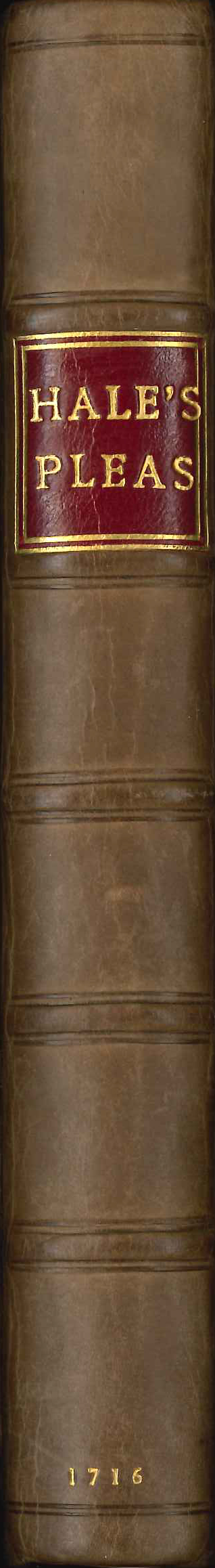Hale's Pleas of the Crown