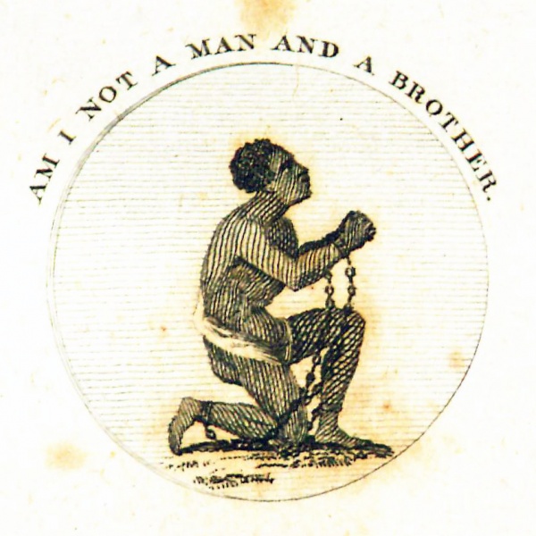 File:DarwinBotanicGarden1798Illustration2.jpg