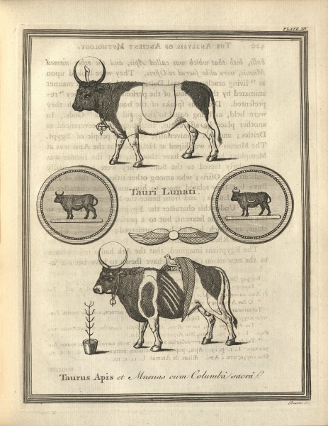 File:BryantNewSystemOrAnalysisOfAncientMythology1775v2plate14.jpg