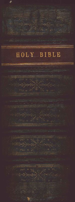 The Holy Bible