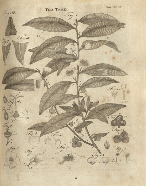 File:EncyclopaediaDictionary1798v18plateCCCCC.jpg