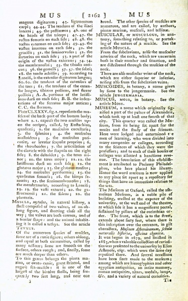 File:NewDictionary1754V3Text.jpg