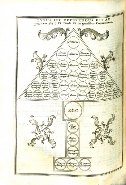 File:VinniusInstitutionum1726Illustration.jpg