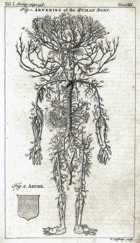 Figure 1, Arteries of the Human Body, volume one, facing page 196.