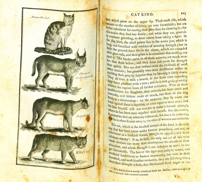 File:GoldsmithHistoryOfTheEarth1795v2Catkind.jpg