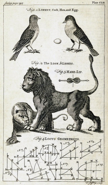 File:NewDictionary1754v3Illustration.jpg