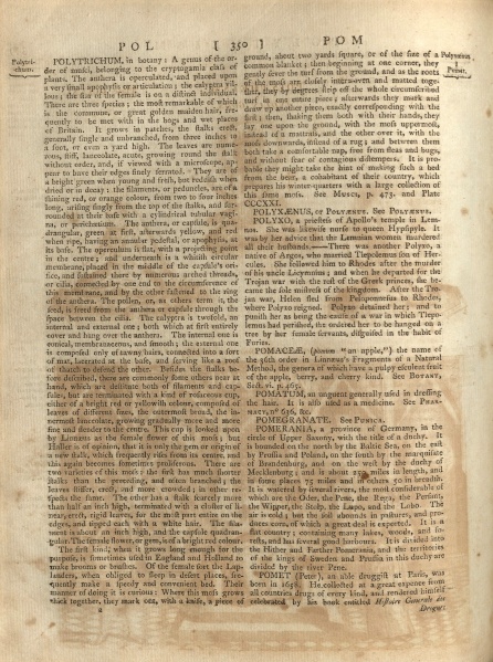 File:EncyclopaediaDictionary1798v15P350.jpg