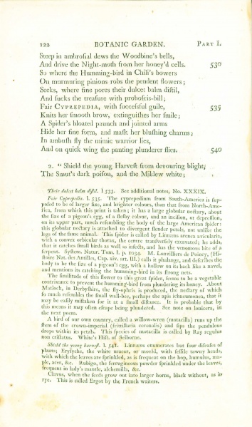File:DarwinBotanicGarden1798p122.jpg