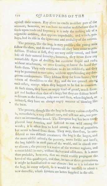 File:GoldsmithHistoryOfEarth1795v2p110.jpg