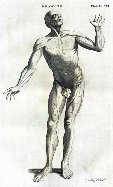 File:DobsonDictionary1798v6Illustration.jpg