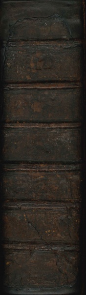 File:CooperThesaurusLinguaeRomanae1565Spine.jpg