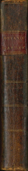 File:DarwinBotanicGarden1798Spine.jpg