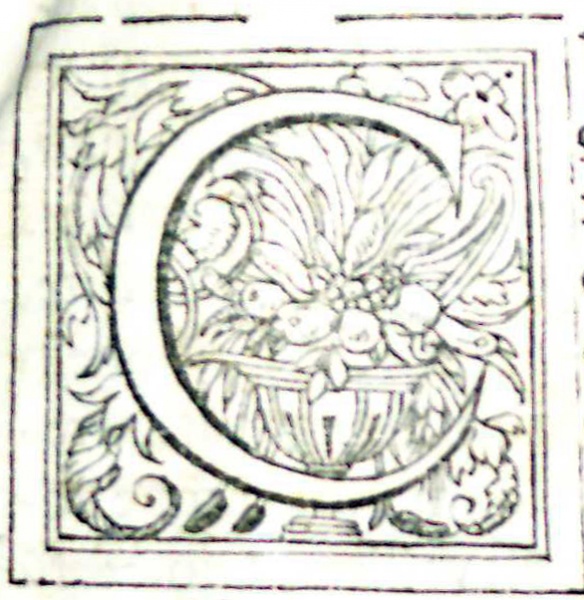 File:CooperThesaurusLinguaeRomanae1565InitialCapital.jpg