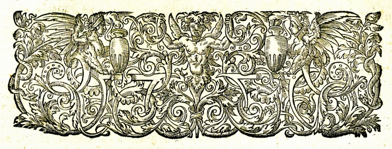 File:ReportsDesCasesArgueAndAdjudge1678v1Headpiece.jpg