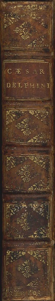 File:CaesarCJuliiCaesaris1719Spine.jpg