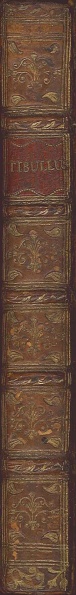 File:TibullusTibulliEtPropertii1753Spine.jpg
