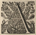 Thumbnail for version as of 09:28, 18 April 2023