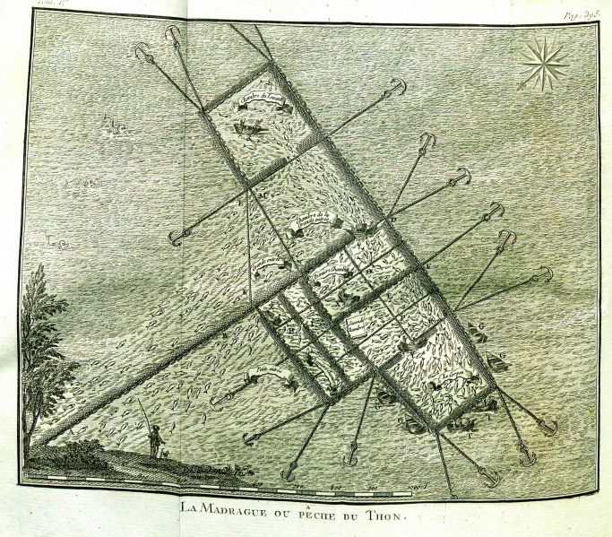 File:GuysVoyageLitteraireGrece1783IllustrationV1.jpg