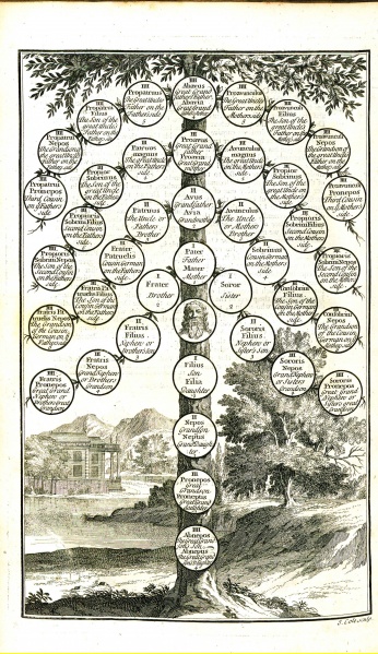 File:DomatCivilLawInItsNaturalOrder1722Illustration.jpg