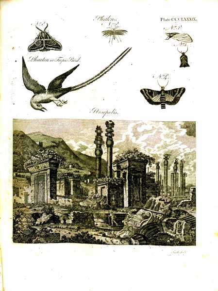File:EncyclopaediaDictionary1798V14Illustration.jpg