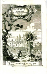 Half-title, volume two