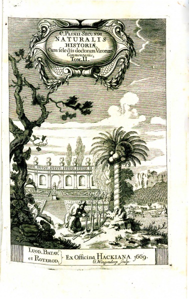 File:PlinyNaturalisHistoriae1669V2 Halftitle.jpg