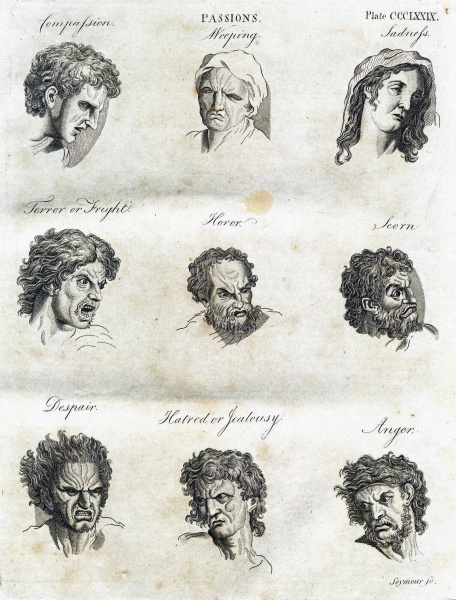 File:EncyclopaediaDictionary1798v14Illustration.jpg