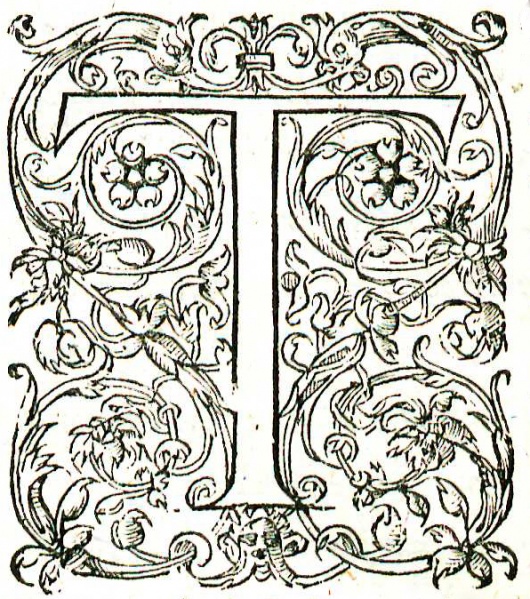 File:PausaniouTesHelladoesPeriegesis1583InitialCapital.jpg