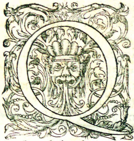 File:StrabonisRerumGeographicarum1620InitialCapital.jpg